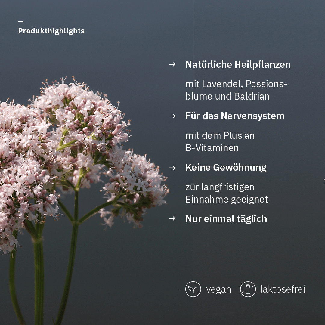 Bakanasan Nervenkraft Plus 60 St.