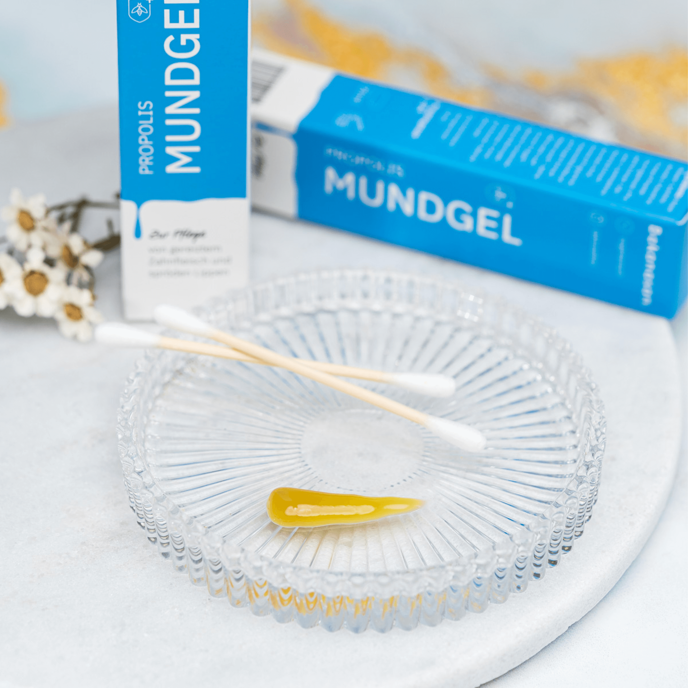 Bakanasan Propolis Mundgel 20 ml